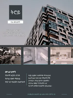 REAL-Estate Promotion (Amharic Sample)