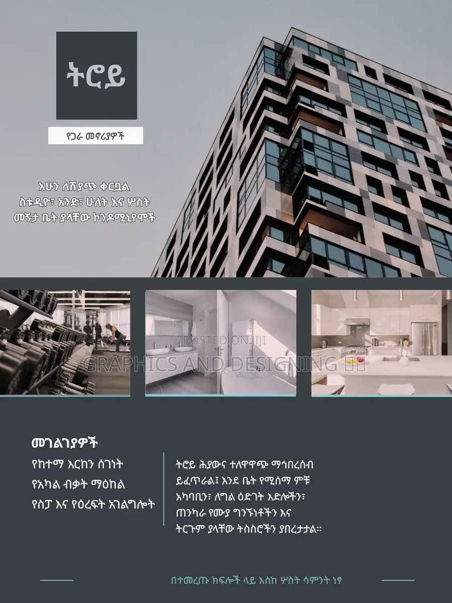 REAL-Estate Promotion (Amharic Sample)
