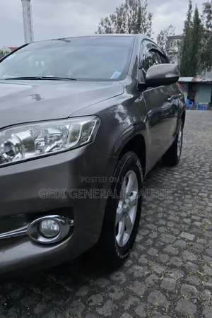 Toyota RAV4 2012 Brown