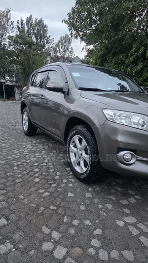 Toyota RAV4 2012 Brown