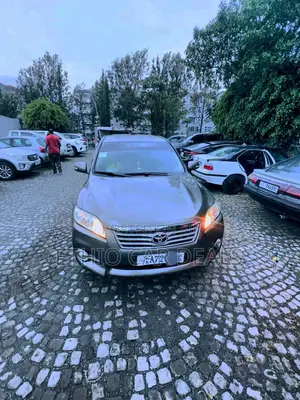 Toyota RAV4 2012 Brown