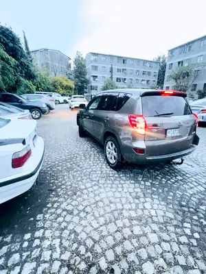 Toyota RAV4 2012 Brown