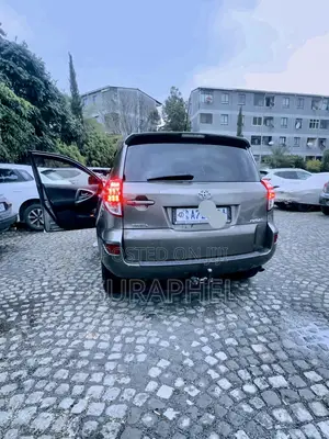 Toyota RAV4 2012 Brown