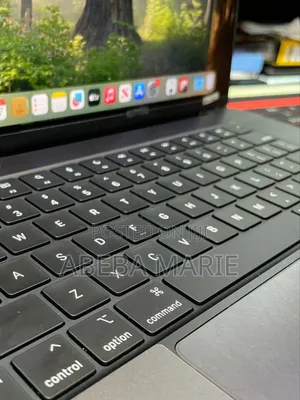 New Laptop Apple MacBook Pro 2024 M4 Max 48GB Apple M4 Max SSD 2T