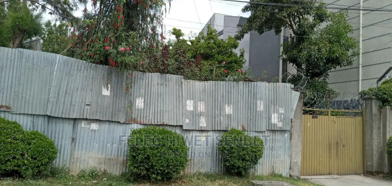 Yemeshet Mesert Kolen Yewtalet