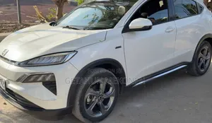 Car 2023 White