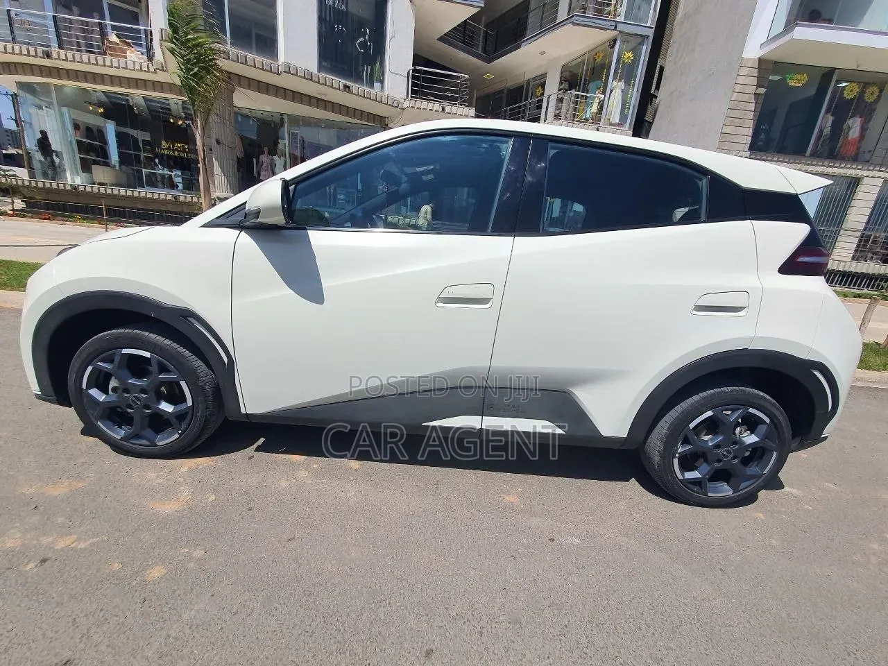 BYD Seagull 2024 White