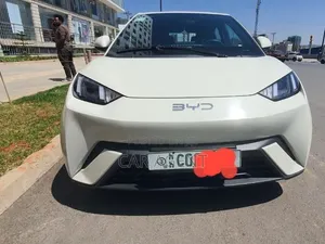BYD Seagull 2024 White