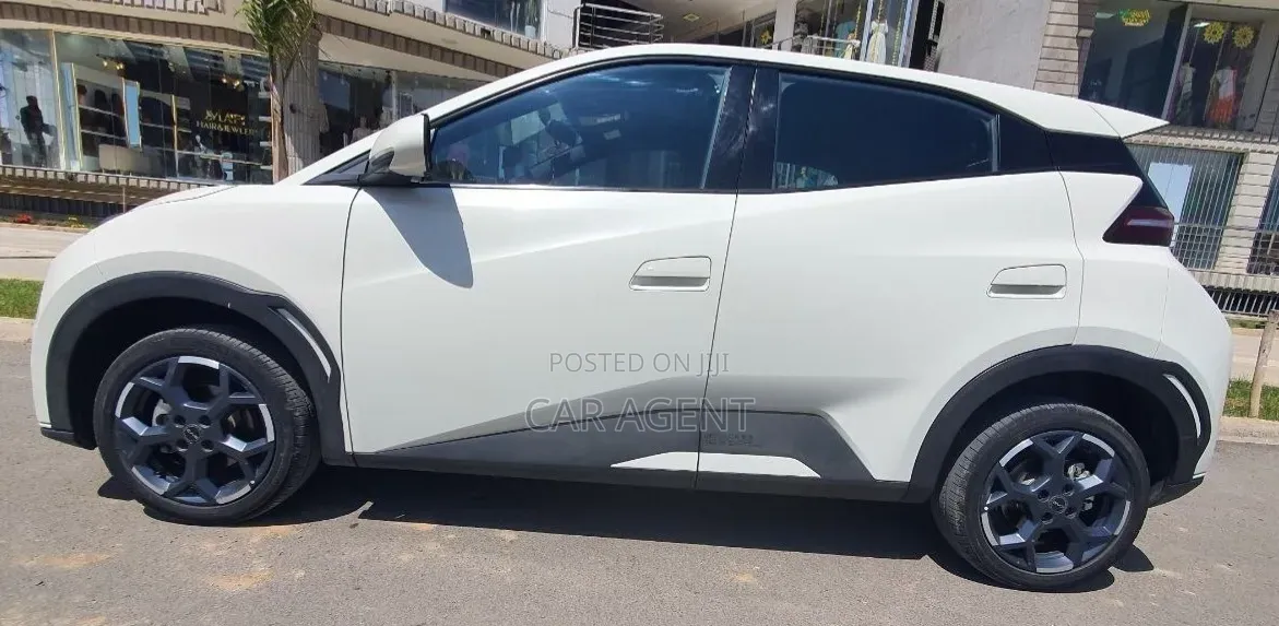 BYD Seagull 2024 White