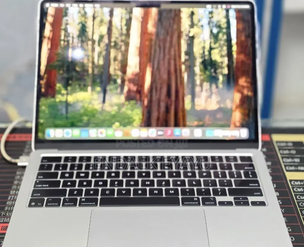 New Laptop Apple MacBook Air 2025 M4 16GB Apple M4 SSD 256GB