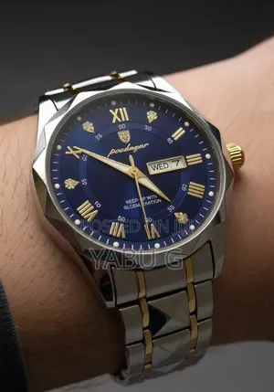 POEDAGAR Luxury Men's Quartz Wristwatch With a Gold and Silver
