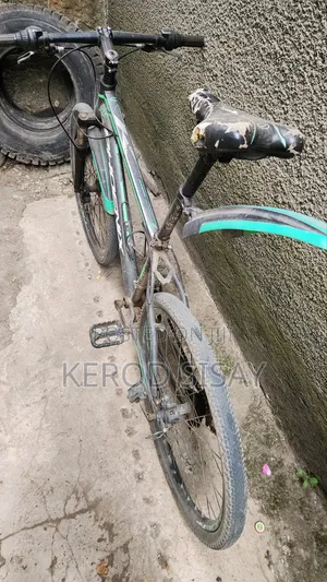 Sport Bicycle