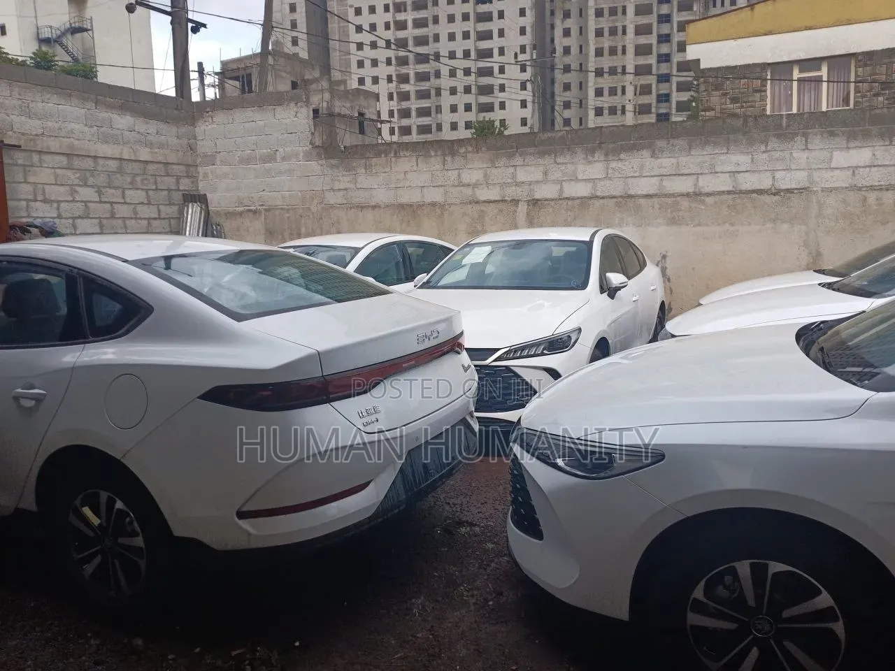 New BYD Qin Plus DM-i 2025 White