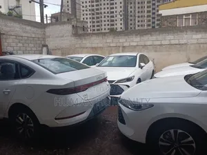 New BYD Qin Plus DM-i 2025 White