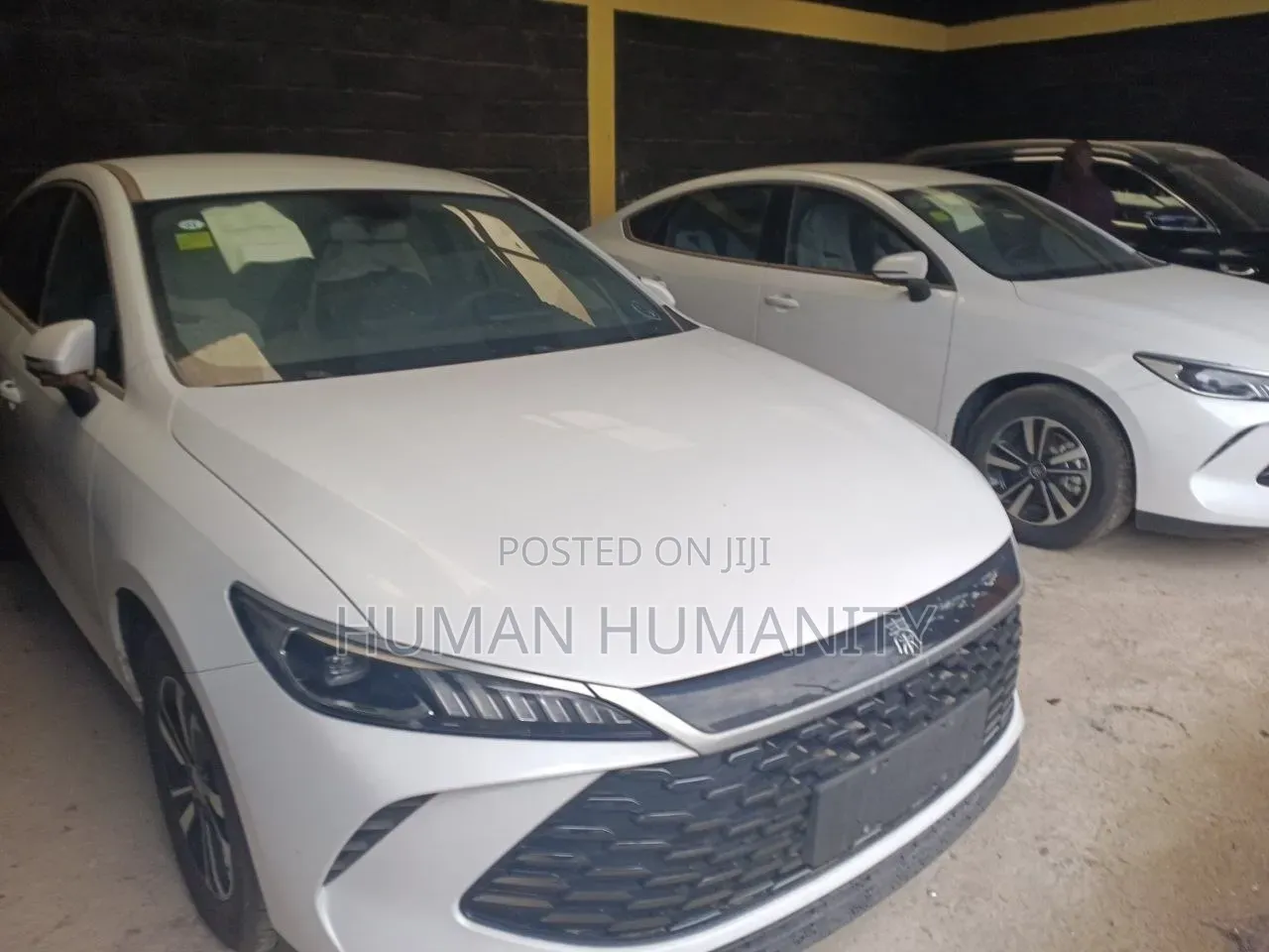 New BYD Qin Plus DM-i 2025 White
