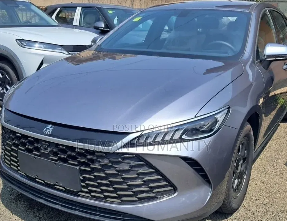 New BYD Qin Plus DM-i 2025 Gray