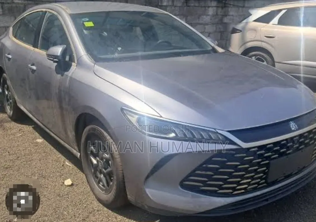 New BYD Qin Plus DM-i 2025 Gray