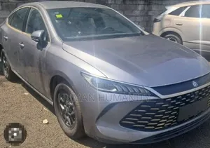 New BYD Qin Plus DM-i 2025 Gray