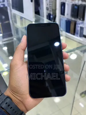 iPhone 12 Promax 256GB Storage
