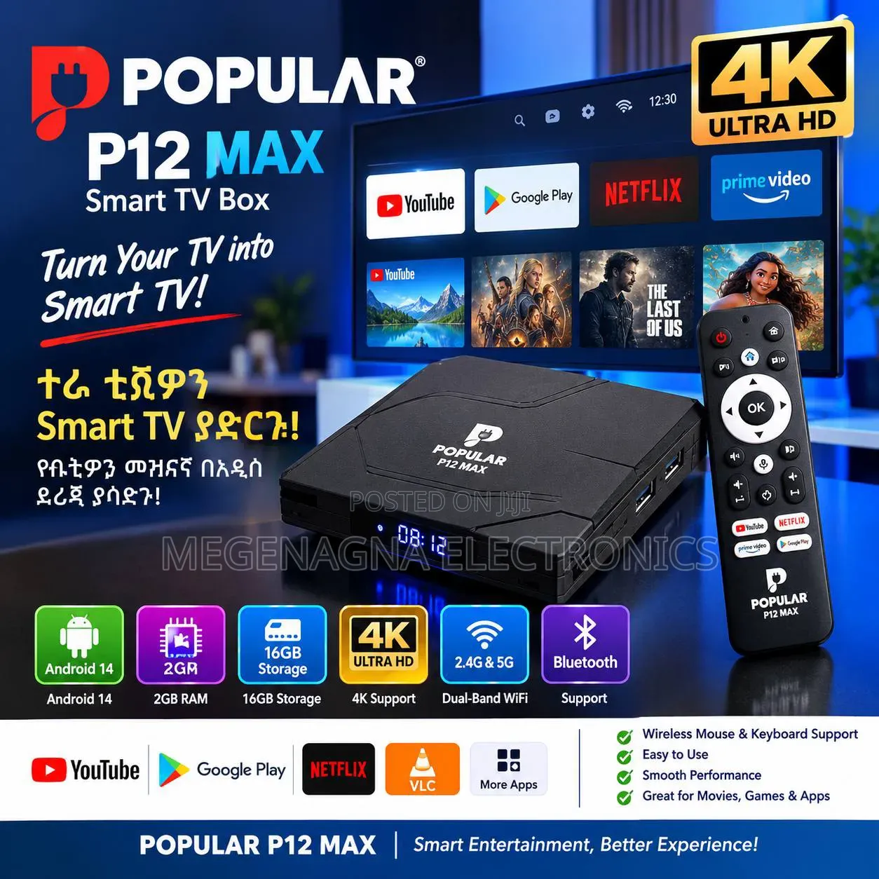 Popular Smart TV Box/ቲቪ ስማርት ማድረጊያ