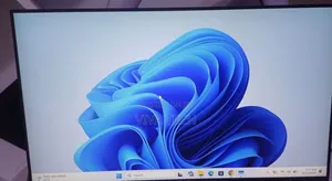 Dell Monitor