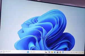 Dell Monitor
