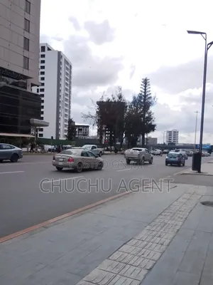 Bole Airport Main Road 350M2
