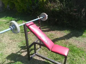 Bench and Barbell