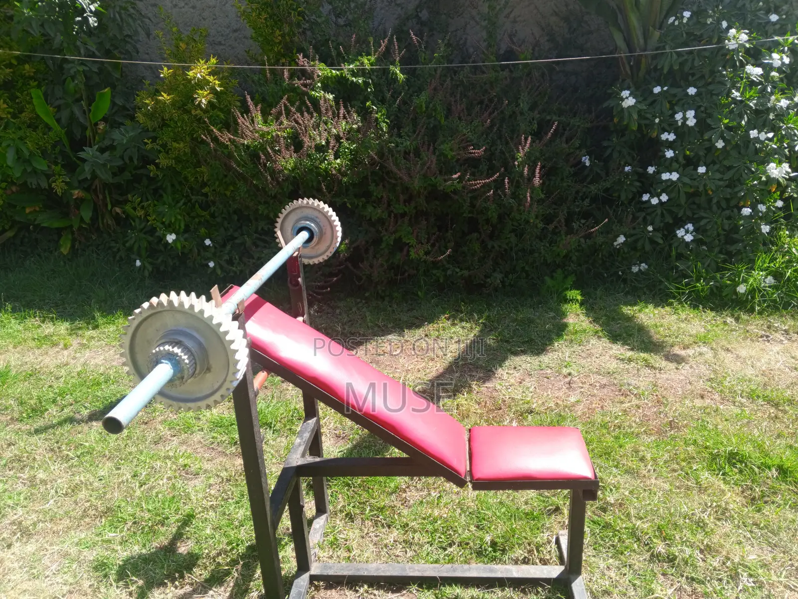 Bench and Barbell