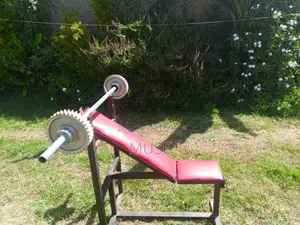 Bench and Barbell