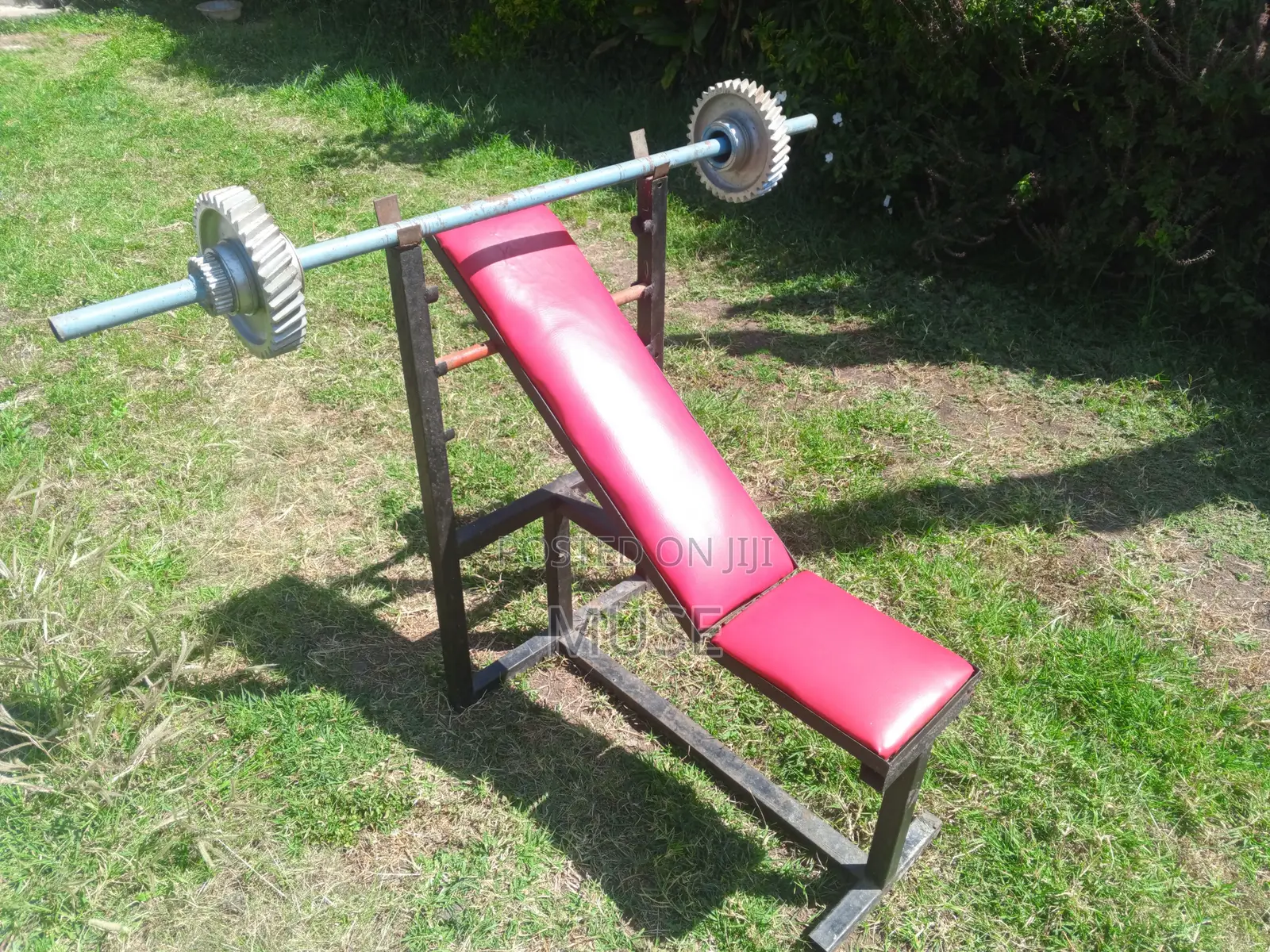 Bench and Barbell