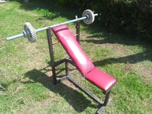 Bench and Barbell