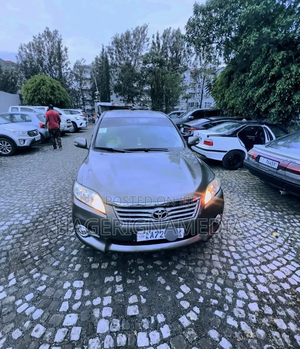Toyota RAV4 2012 Gray