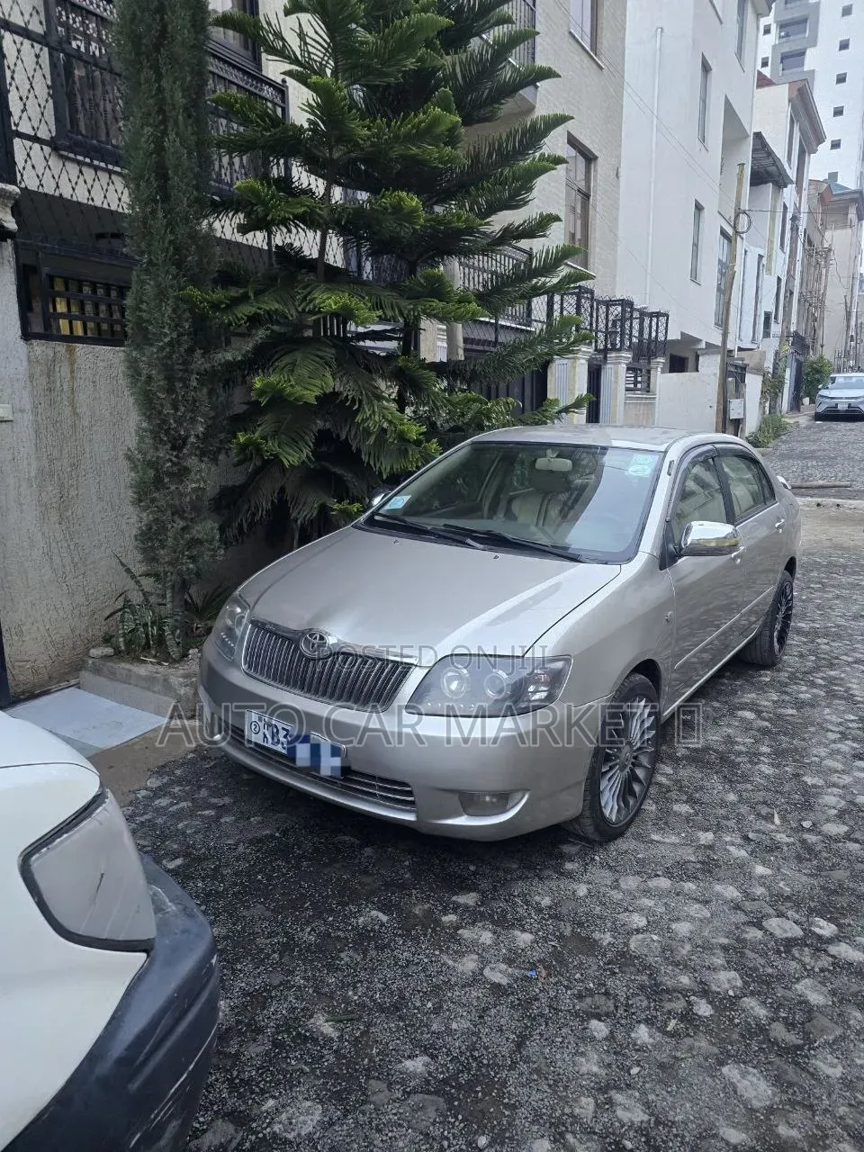 Toyota Corolla 2007 Beige