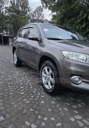 Toyota RAV4 2012 Gray
