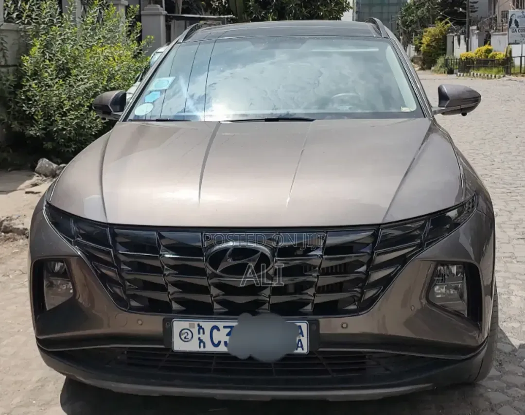 Hyundai Tucson 2023 Brown
