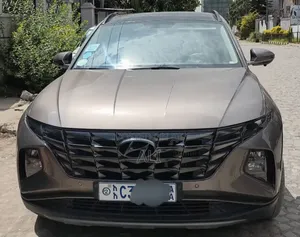 Hyundai Tucson 2023 Brown