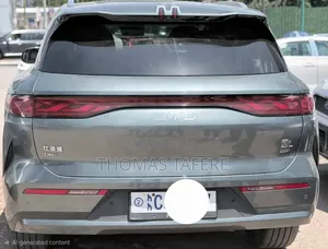 BYD Tang DM-i 2025 Green