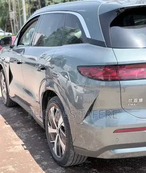 BYD Tang DM-i 2025 Green