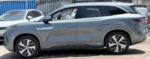 BYD Tang DM-i 2025 Green