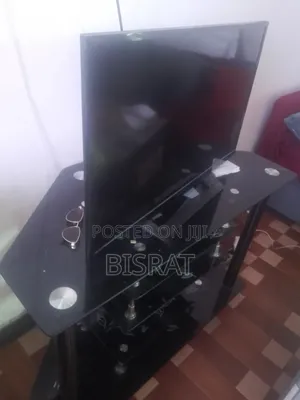 The Selected Region Shows a Sony Bravia Flat-Screen Television