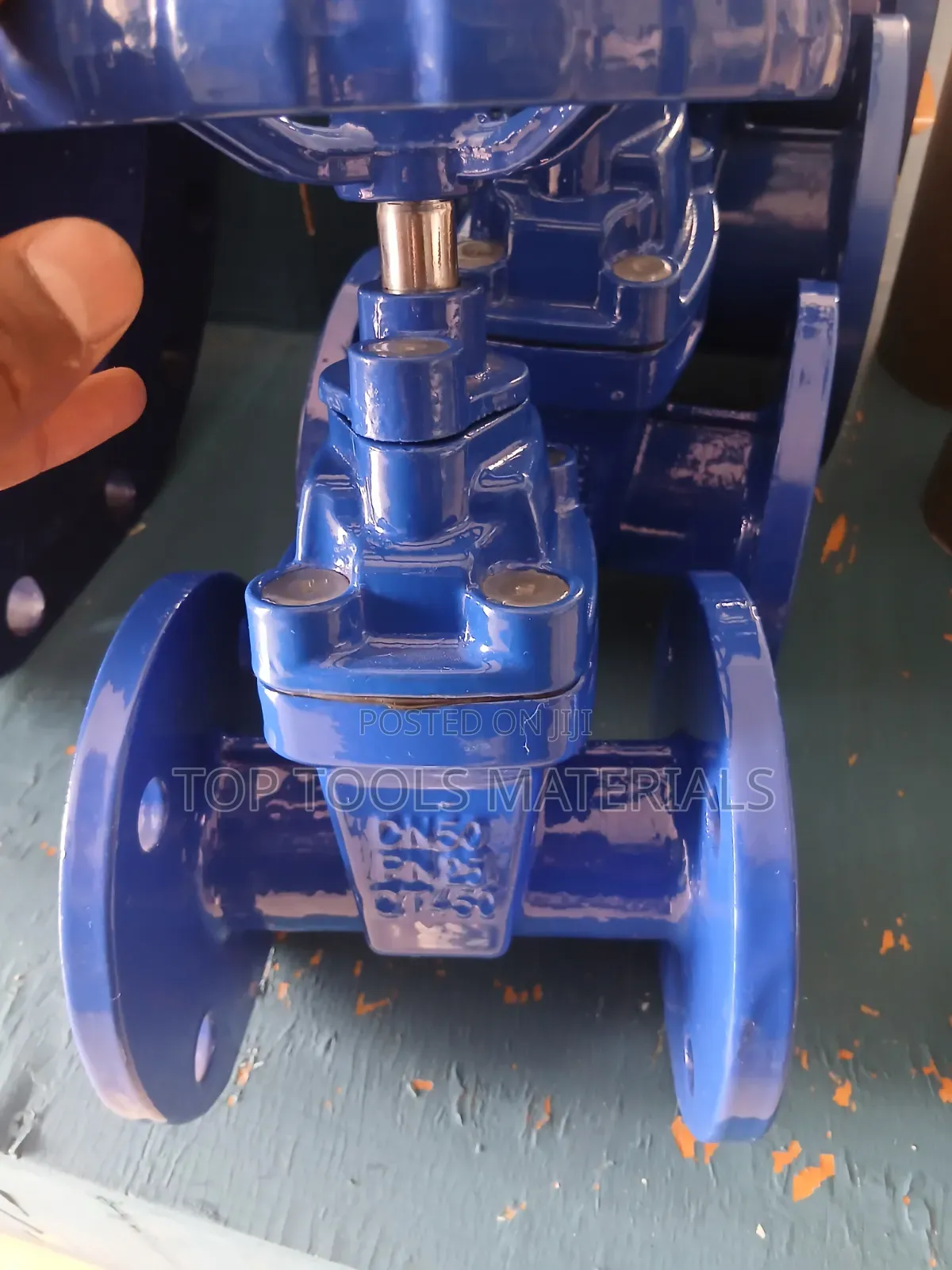 Blue Flanged Ductile Iron Resilient-Seatemarked With DN50 and PN16