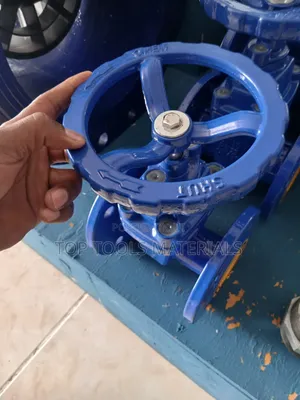 Blue Flanged Ductile Iron Resilient-Seatemarked With DN50 and PN16