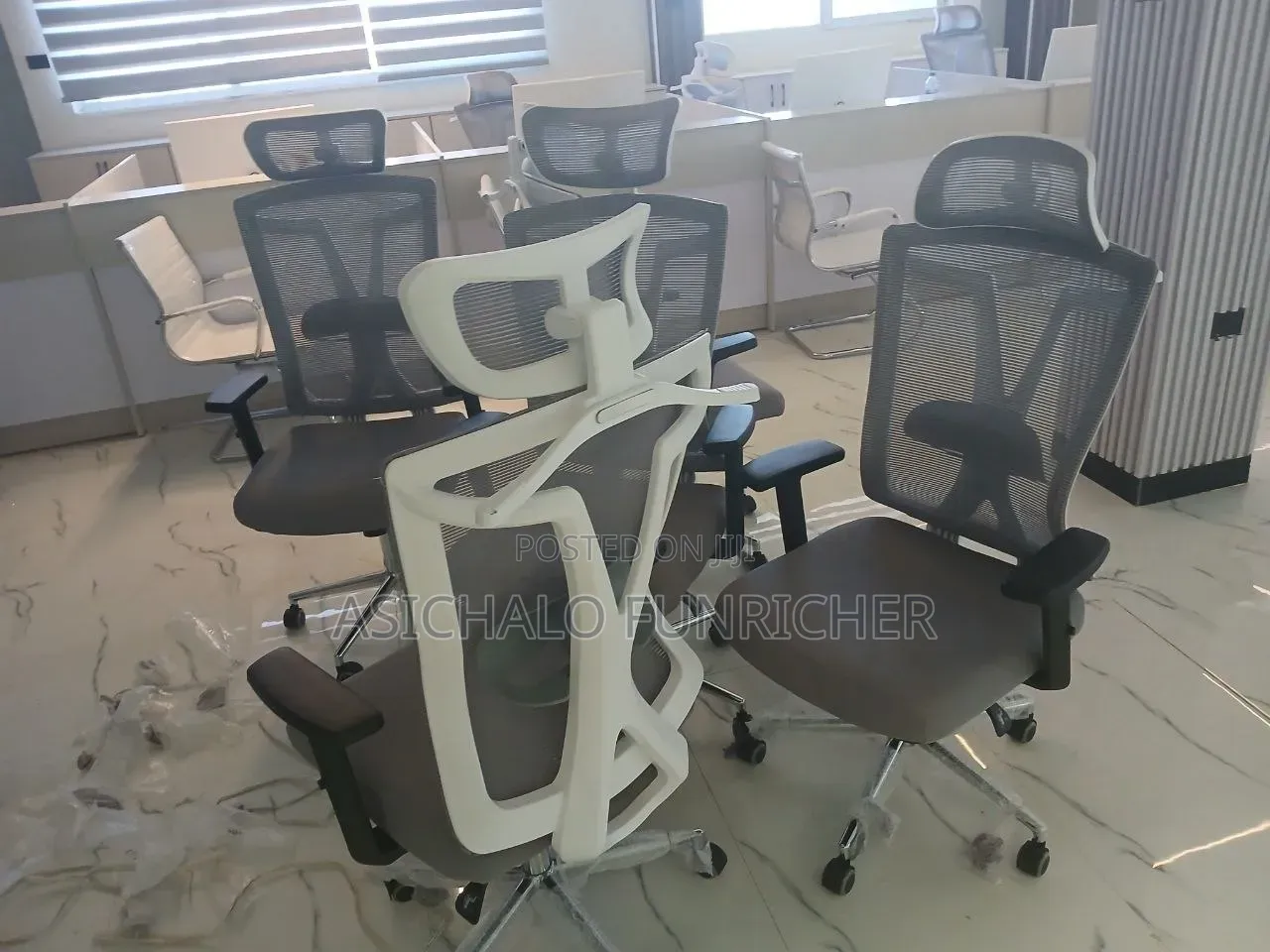 ፕኦ Office Chairs