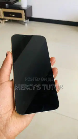 Apple iPhone 13 Pro Max 128 GB Silver