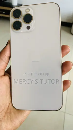 Apple iPhone 13 Pro Max 128 GB Silver