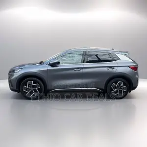 BYD Yuan Plus 2025 Gray