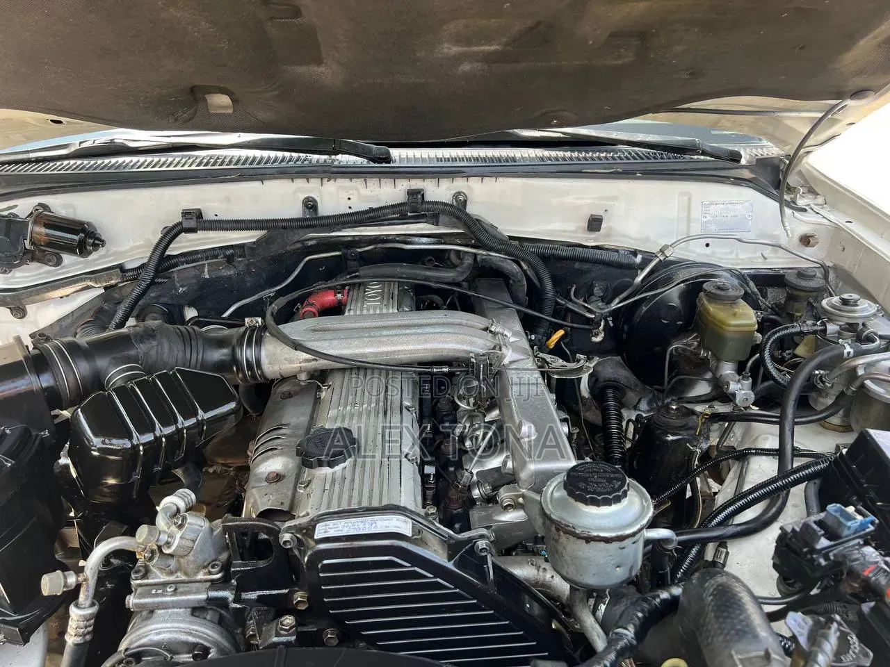 Toyota Land Cruiser 1999 White