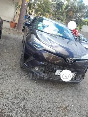 Toyota C-HR 2020 Gray