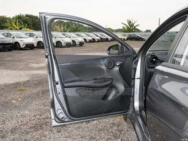 BYD E2 43 kWh 94 hp FWD 2024 Gray